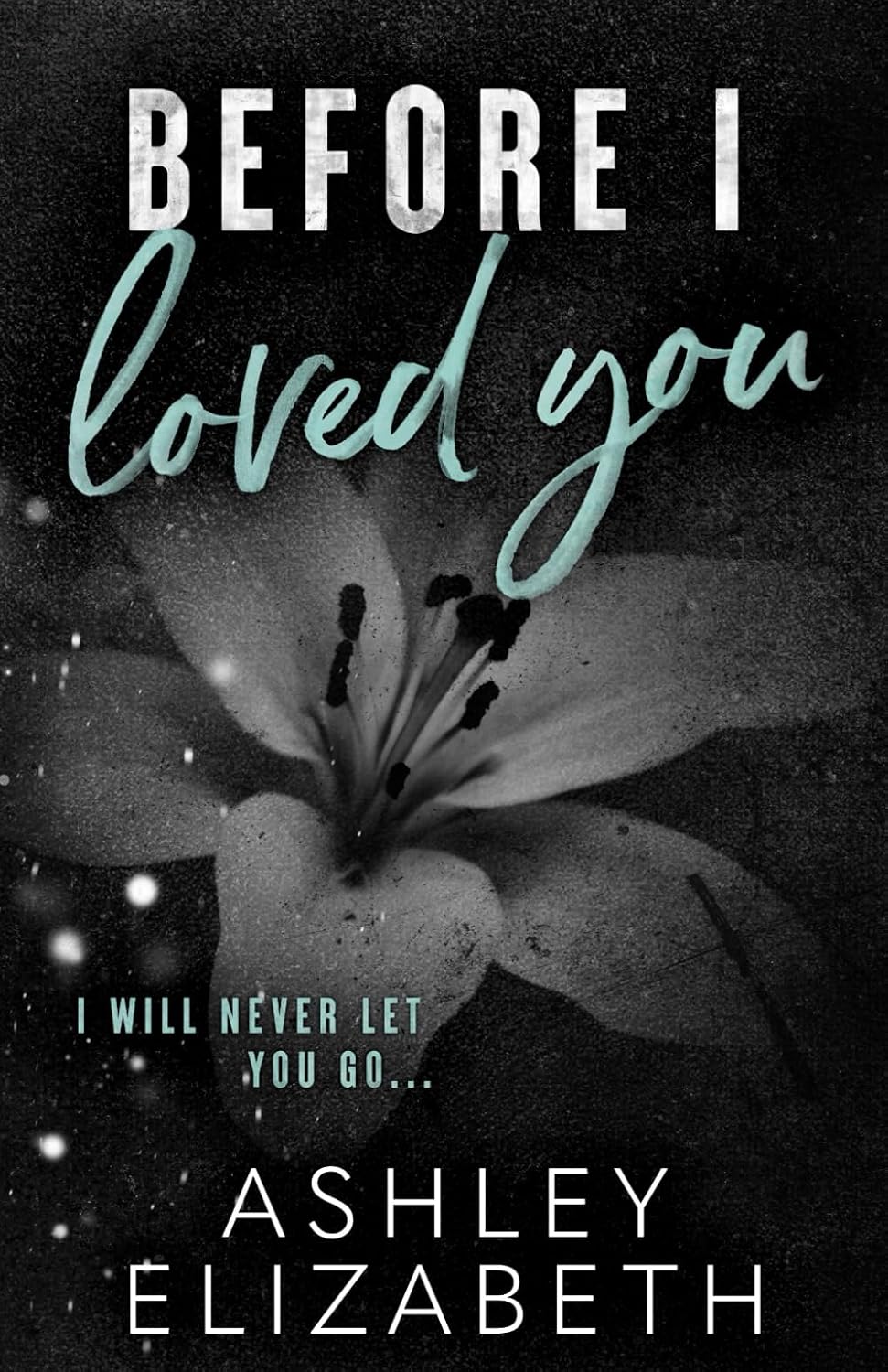Before I Loved You (Signed - Before Book 3) - Ashley Elizabeth
