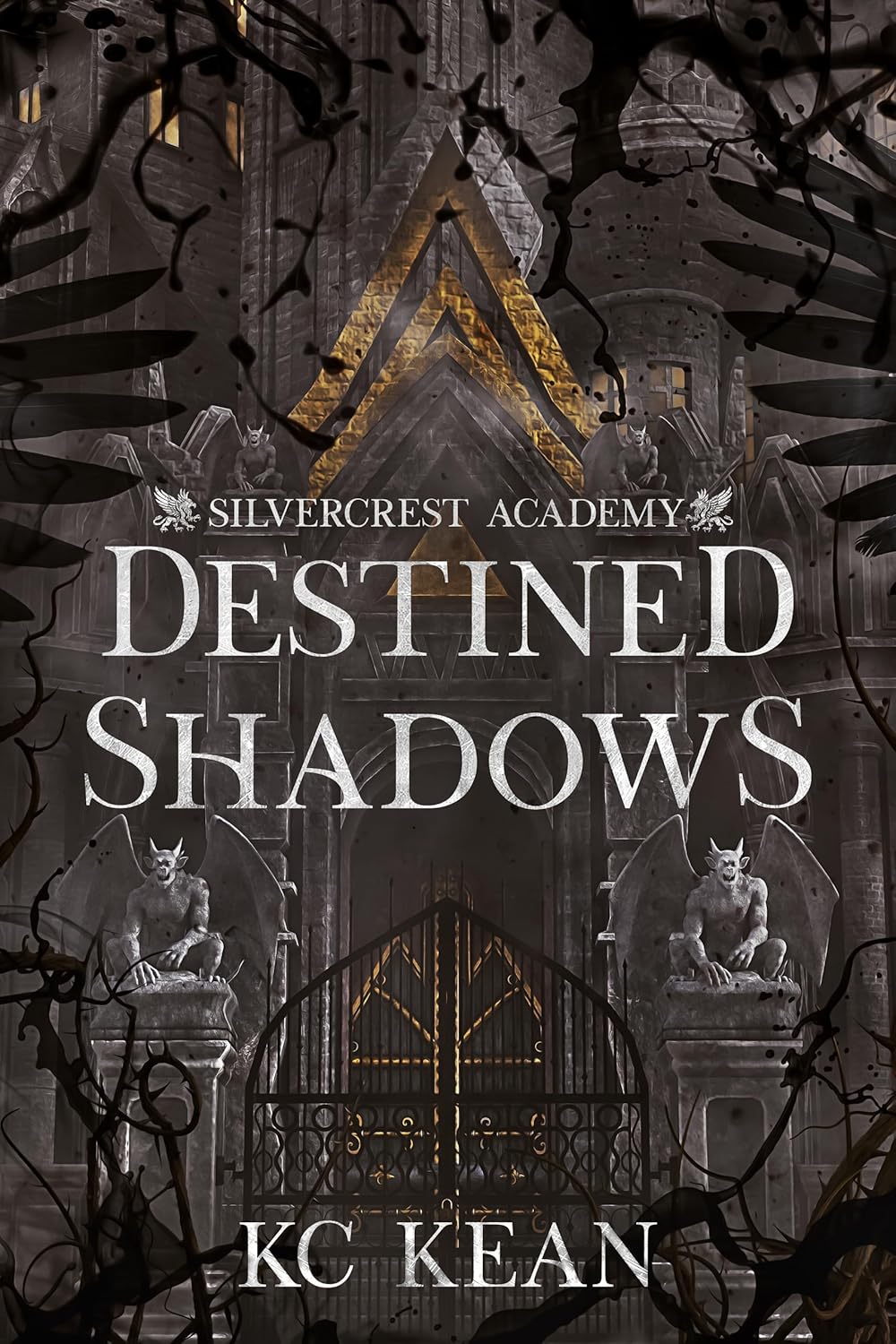 Destined Shadows (Silvercrest Academy Book 2) - KC Kean