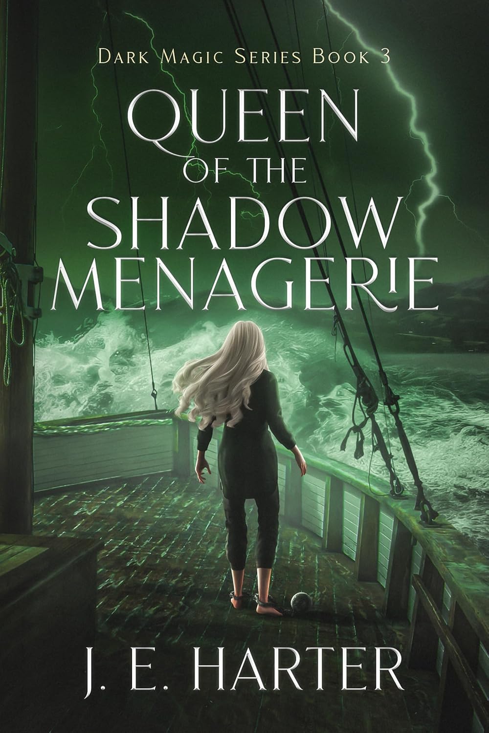Queen of the Shadow Menagerie (Dark Magic Series Book 3) - J.E. Harter