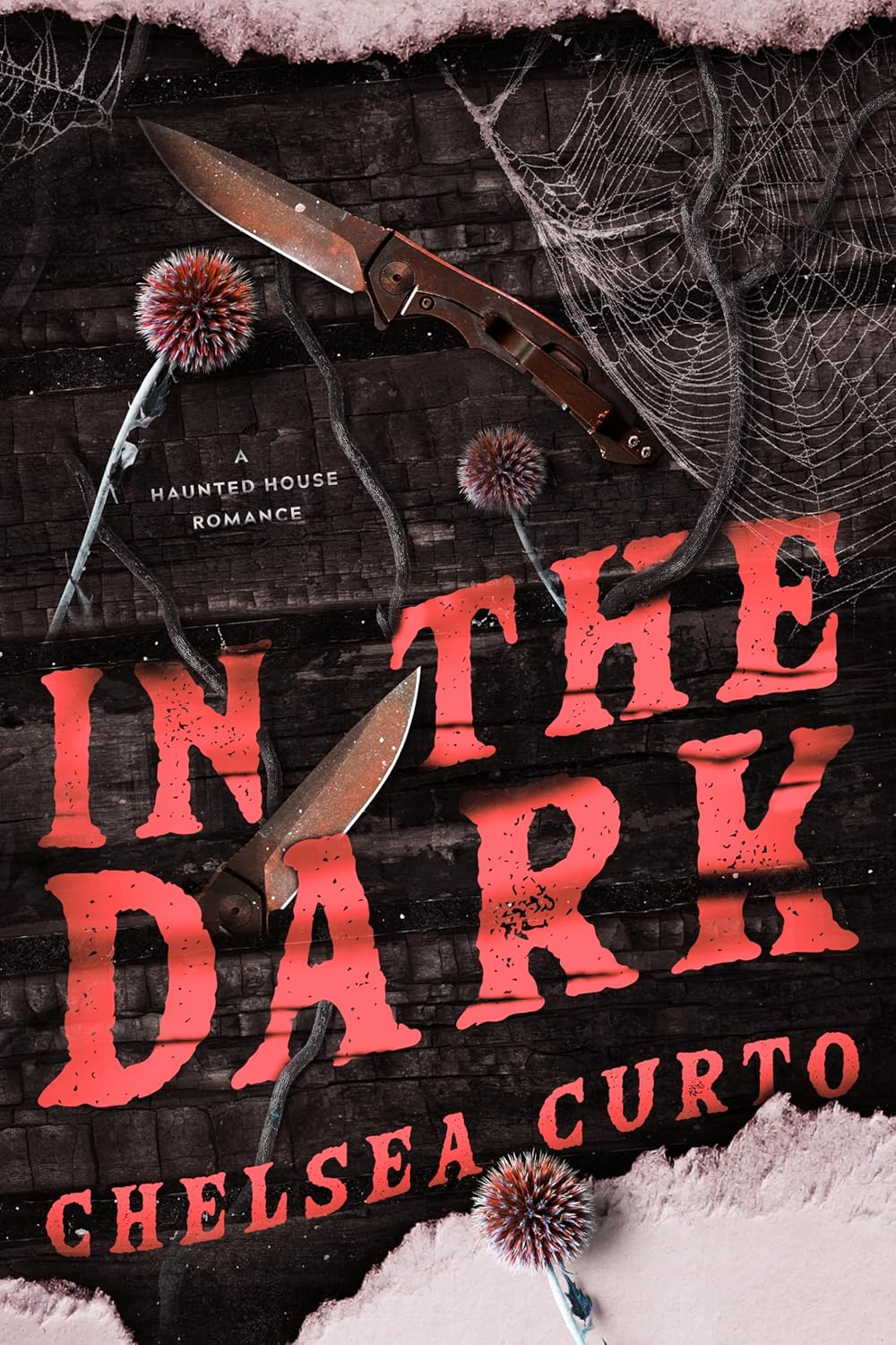 Chelsea Curto Signed Books